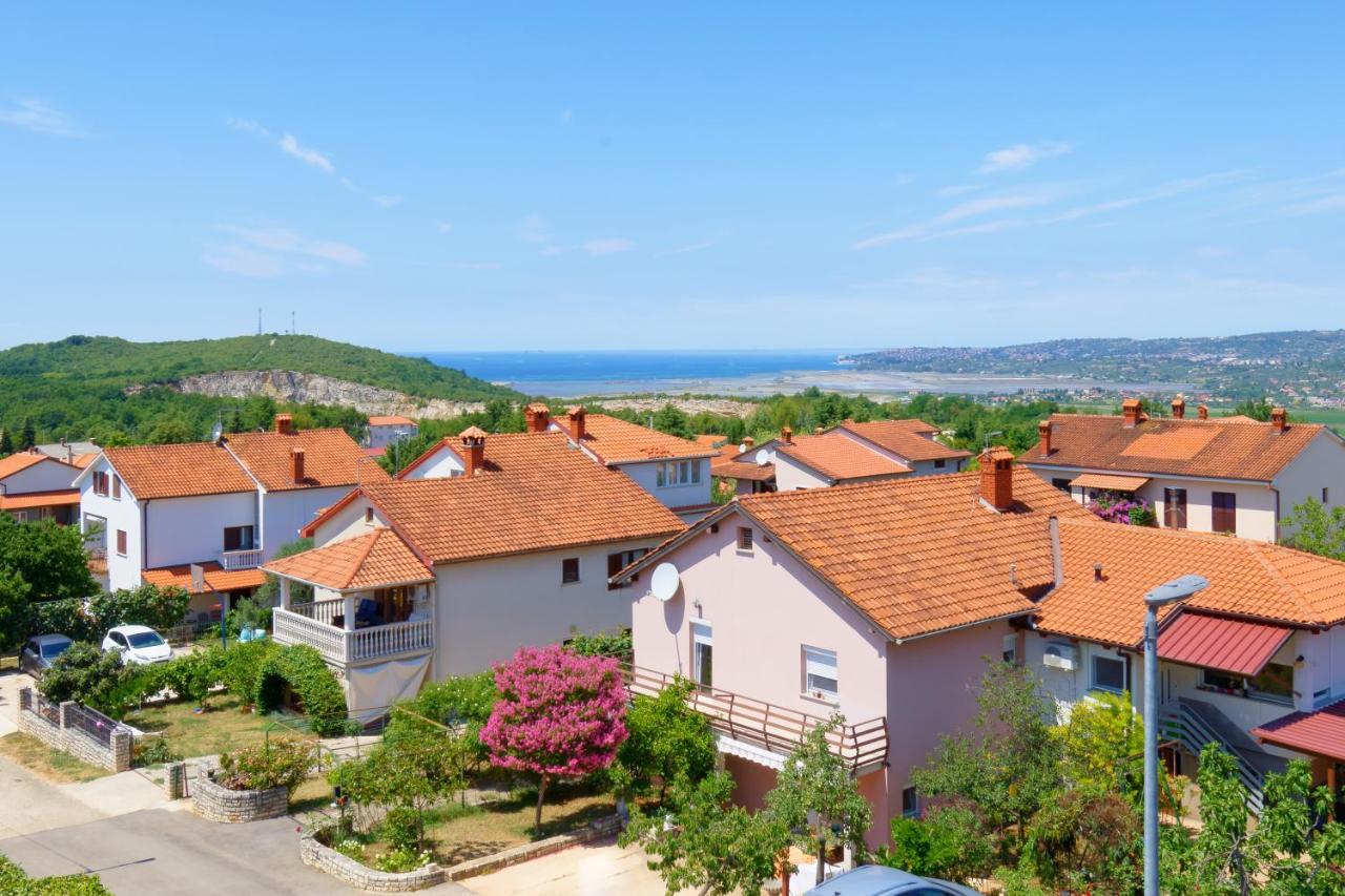 Apartments Belvedere By Rent Istria Plovanija Exteriör bild
